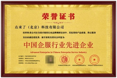 右来了科技荣获“中国企服行业先进企业”称号，彰显信息系统集成服务卓越实力