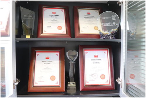 鹏旗展翅九天，服务创造未来——探索信息系统集成服务的核心价值