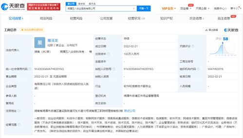 信息系统集成服务的核心价值与未来发展趋势